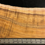 Hawaiian Curly Koa Wood Billet - 12" x (7.5" to 6") x 1"