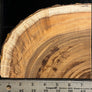 Hawaiian Curly Koa Wood Billet - 6.75" x 5.5" x 0.625"