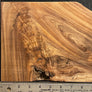 Hawaiian Curly Koa Wood Craft and Project Blank - 9.25" x 7.75" x 1.375+"