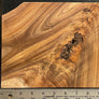 Hawaiian Curly Koa Wood Craft and Project Blank - 9.25" x 7.75" x 1.375+"
