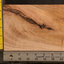 Hawaiian Curly Koa Wood Craft and Project Blank - 7.5" x 5.5" x 1.125+"
