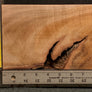 Hawaiian Curly Koa Wood Craft and Project Blank - 7.5" x 5.5" x 1.125+"