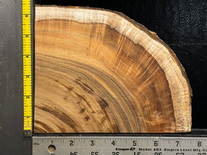 Hawaiian Curly Koa Wood Billet -  6.75" x 5.5" x 0.625"