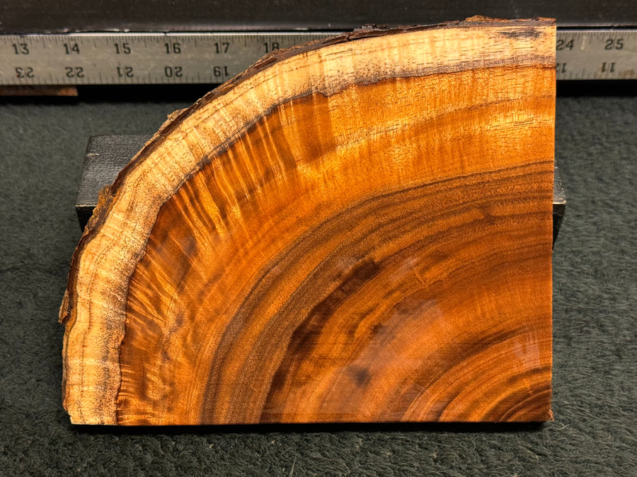 Hawaiian Curly Koa Wood Billet -  6.75" x 5.5" x 0.625"