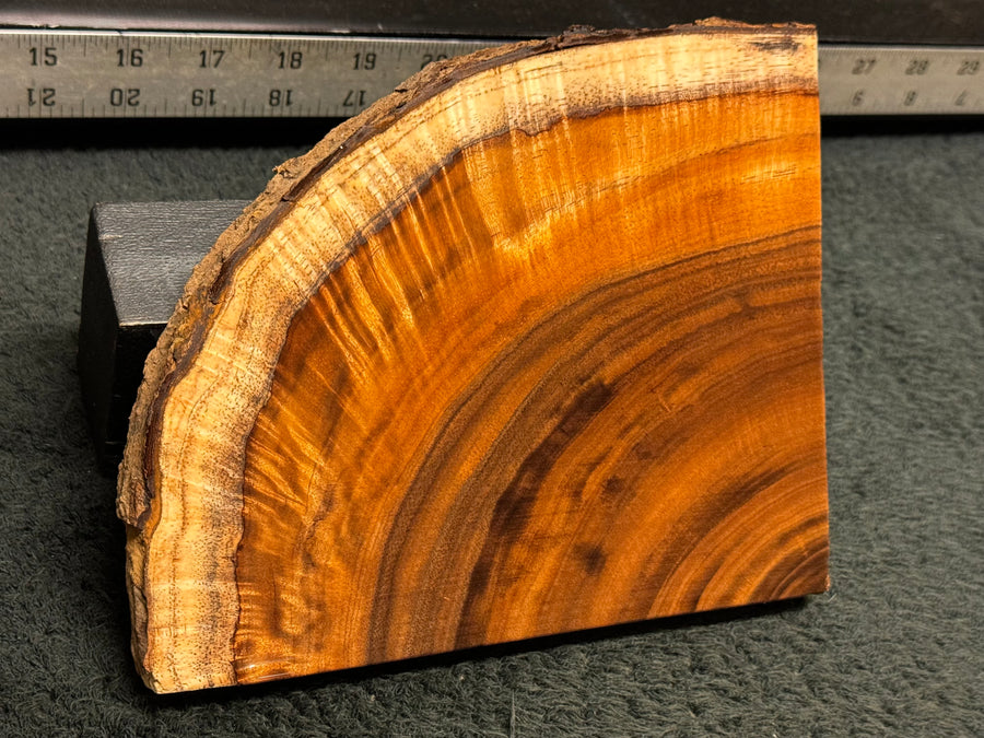 Hawaiian Curly Koa Wood Billet -  6.75" x 5.5" x 0.625"