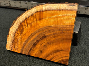 Hawaiian Curly Koa Wood Billet -  6.75" x 5.5" x 0.625"