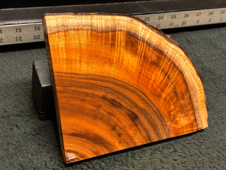 Hawaiian Curly Koa Wood Billet -  6.75" x 5.5" x 0.625"