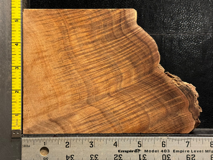 Hawaiian Curly Koa Wood Billet - 6" x 5+" x 1+"