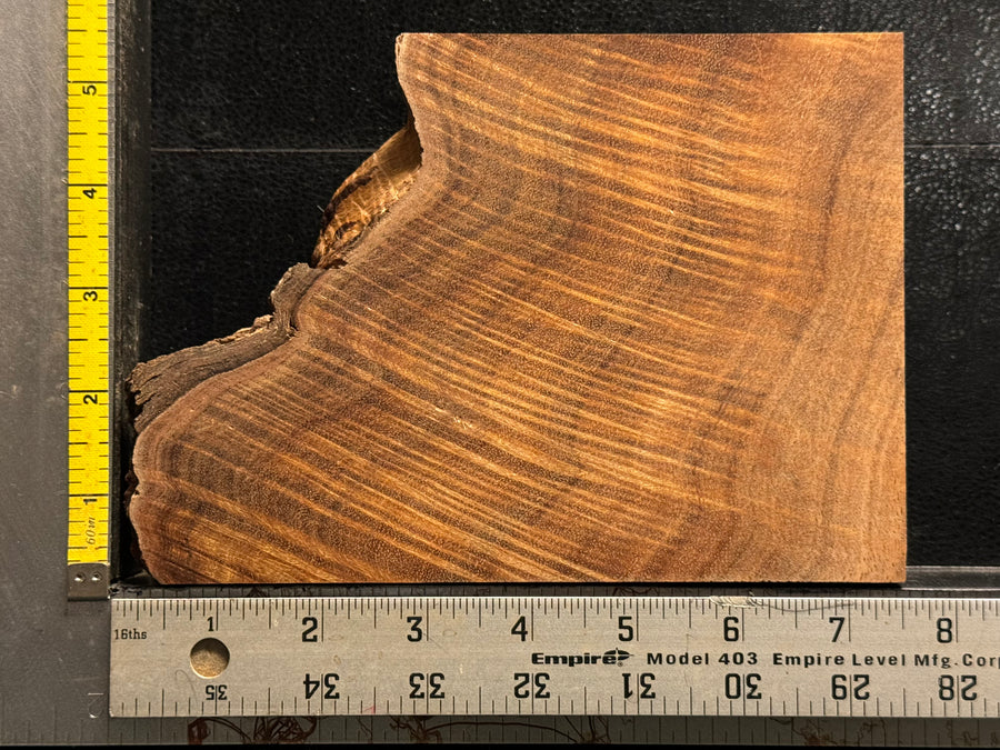 Hawaiian Curly Koa Wood Billet - 6" x 5+" x 1+"