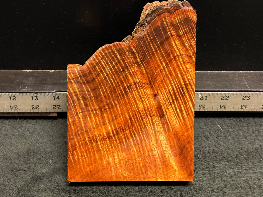 Hawaiian Curly Koa Wood Billet - 6" x 5+" x 1+"