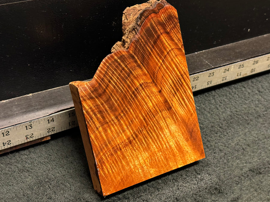 Hawaiian Curly Koa Wood Billet - 6" x 5+" x 1+"