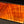 Hawaiian Curly Koa Wood Billet - 8" x 4.875+" x 1+"