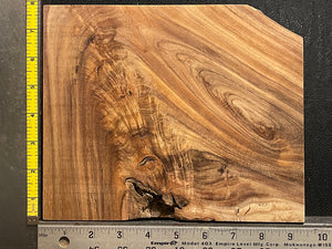 Hawaiian Curly Koa Wood Craft and Project Blank - 9.25" x 7.75" x 1.375+"
